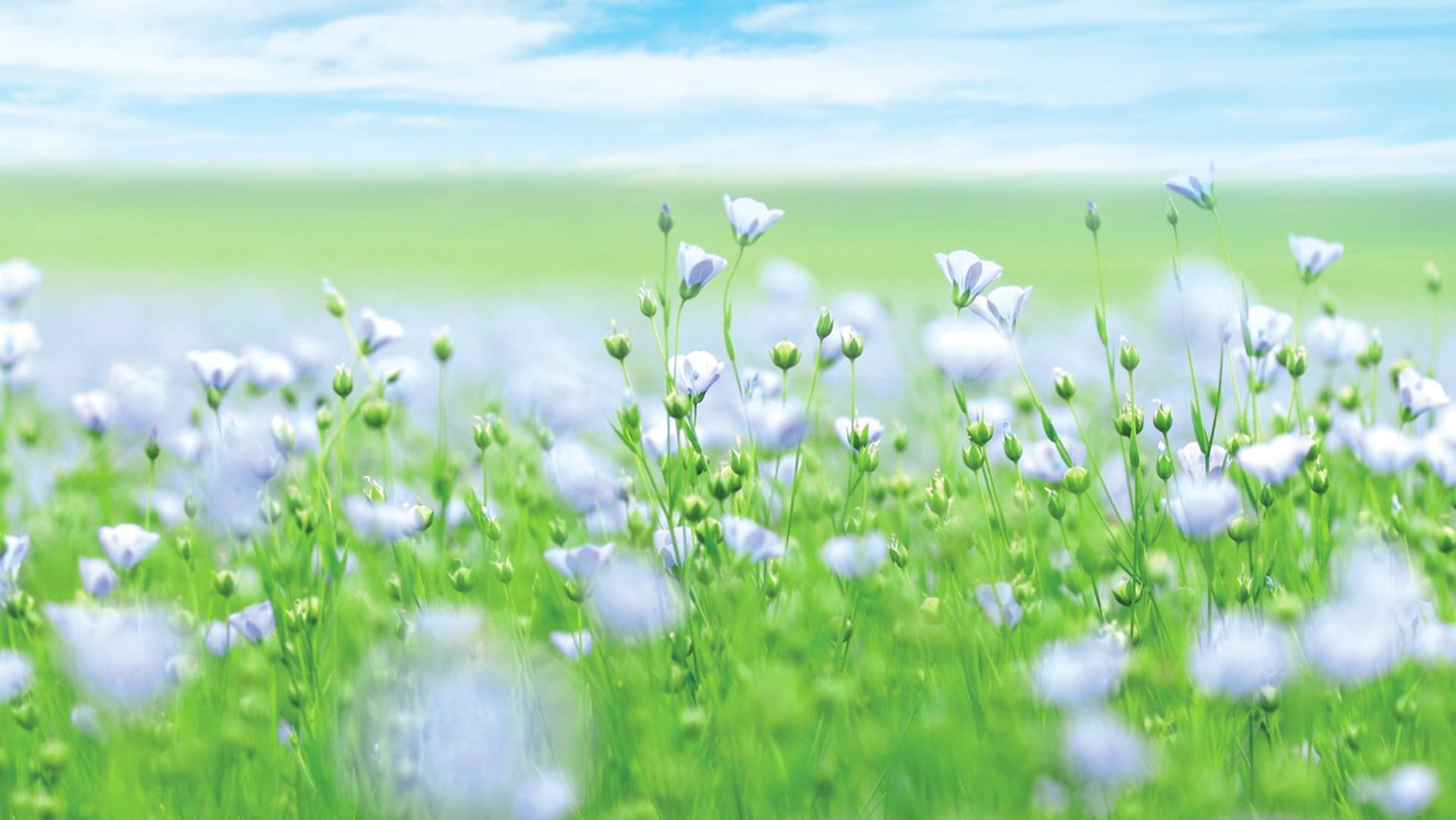 Expo photo mars 2025